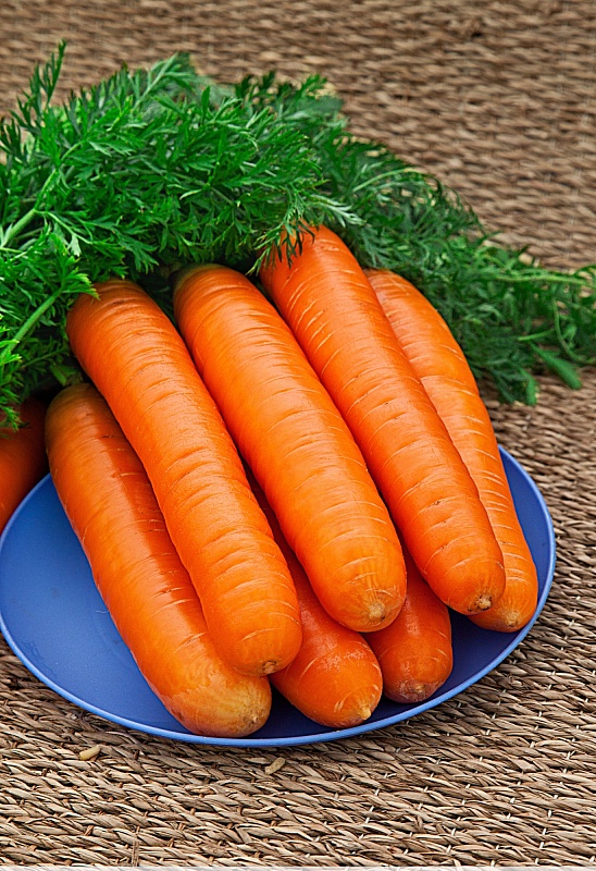 Морковь Нантская 4 10 гр цв.п (Сортсемовощ)